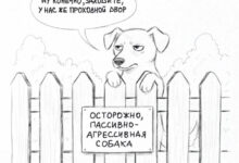 Photo of Весёлые комиксы: «Ну конечно, заходите…» (19 фото)