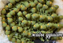 Photo of Психоз выходного дня — смешные фото | Bugaga