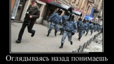 Photo of Дзынь — и ты в кроличьей норе — мемы | Bugaga