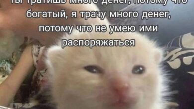 Photo of Отчет о проделанной работе (не проделанной) — мемы | Bugaga