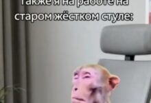 Photo of Когда вселенная решила пошутить над всеми нами — смешные фото/мемы/приколы | Bugaga