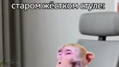 Photo of Когда вселенная решила пошутить над всеми нами — смешные фото/мемы/приколы | Bugaga