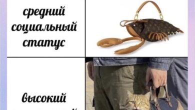 Photo of Инструкция по применению хорошего настроения — мемы | Bugaga