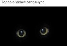 Photo of Великий ретрит дивана или инструкция к выходным — смешные фото и мемы | Bugaga