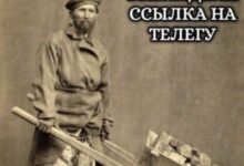 Photo of Мемный цирк уехал, но оставил нам это — смешные фото/мемы/приколы | Bugaga