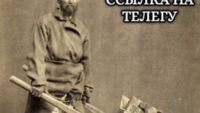 Photo of Мемный цирк уехал, но оставил нам это — смешные фото/мемы/приколы | Bugaga