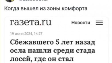 Photo of Письмо в бутылке, отправленное в ленту — мемы | Bugaga