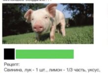 Photo of Солянка из сурикатов и WiFi