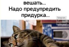 Photo of Мемы уровня «я не просил, но спасибо» — смешные фото/мемы/приколы | Bugaga