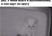Photo of Улыбка обязательна, серьёзность под запретом — смешные фото | Bugaga