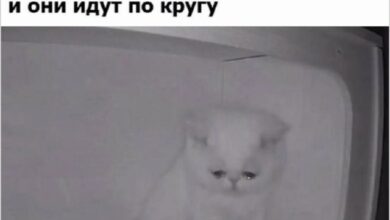 Photo of Улыбка обязательна, серьёзность под запретом — смешные фото | Bugaga